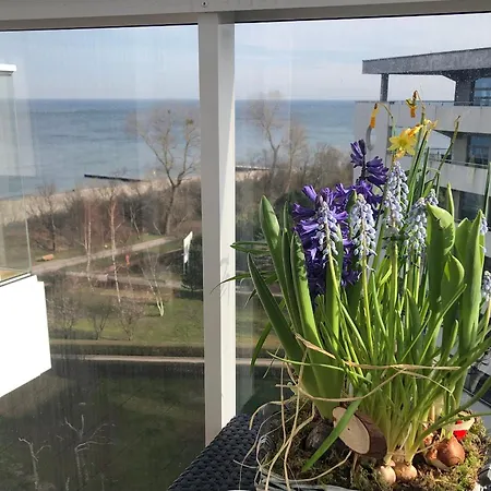 Seaside Seaview By Jantar Daire